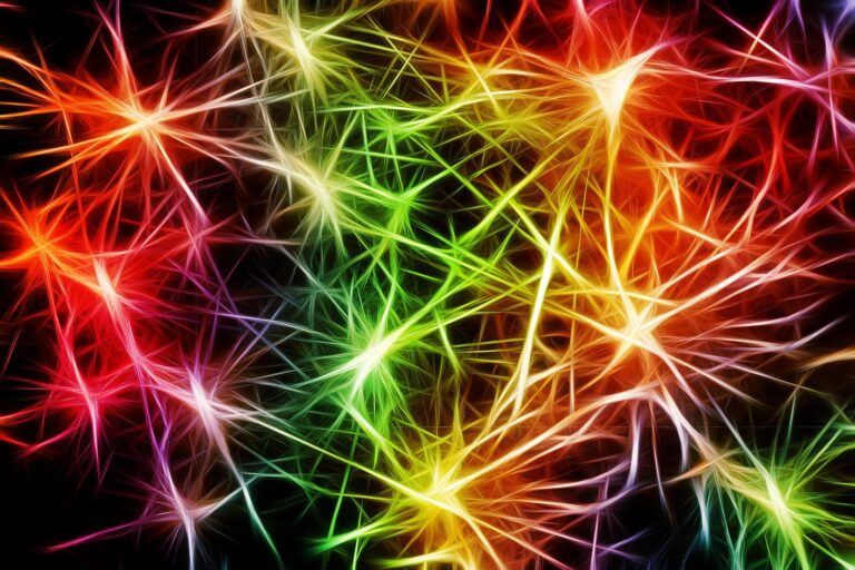 Webinário de Neurociência Translacional mostra a abrangência dos estudos sobre o cérebro