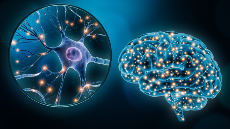 A inflamação conecta sintomas neurológicos da Covid-19 com alterações moleculares associadas ao Alzheimer, mostra estudo do IDOR